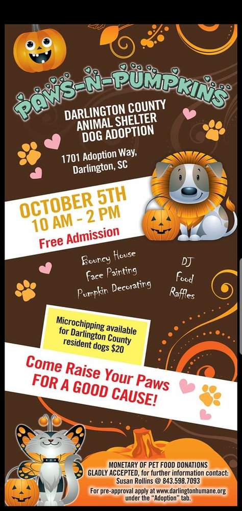 Paws & Pumpkins Event Flyer