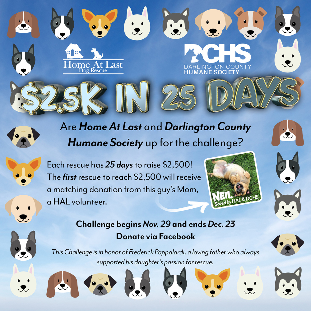 25k25days-DCHS rescue info