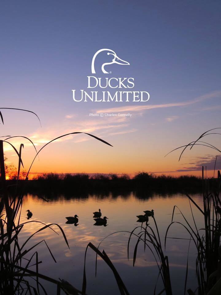 DucksUnlimited