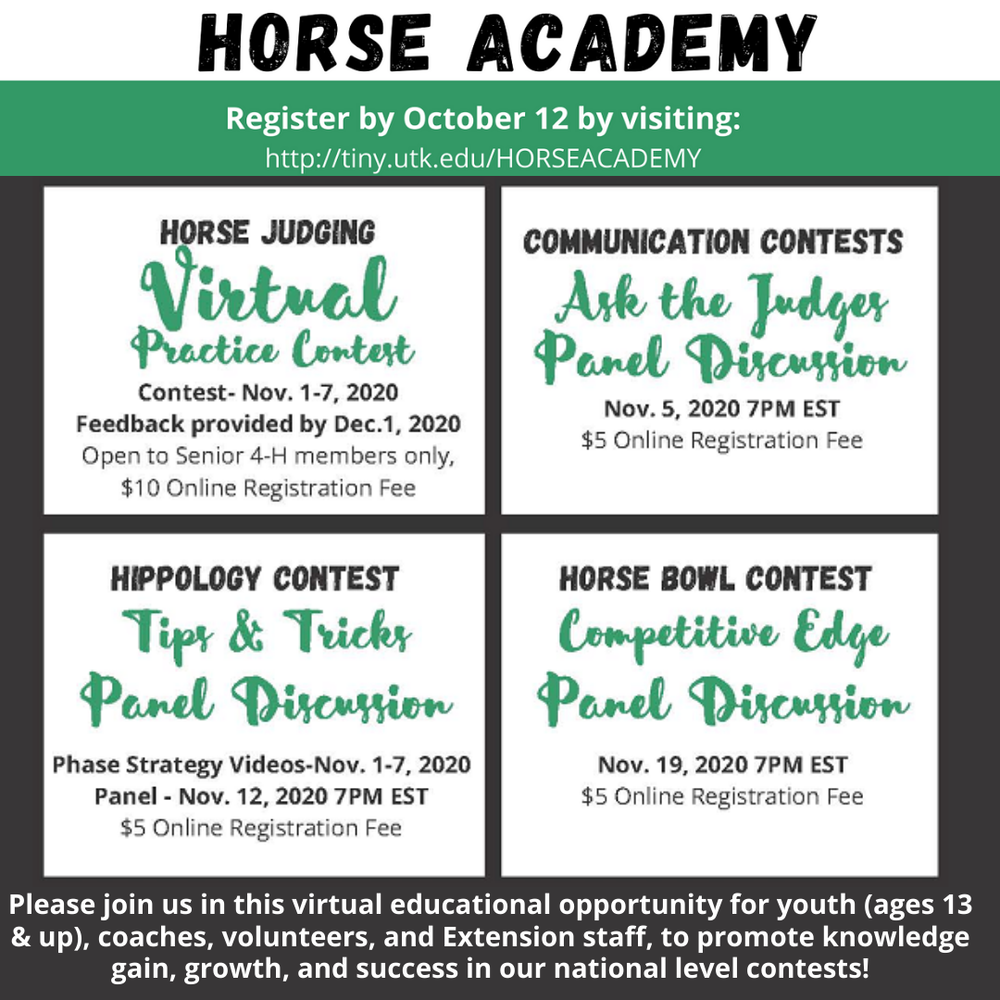 110020 Horse Academy