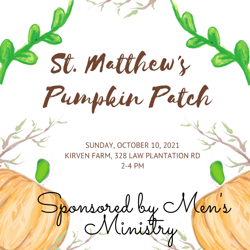 101021 Pumpkin Patch