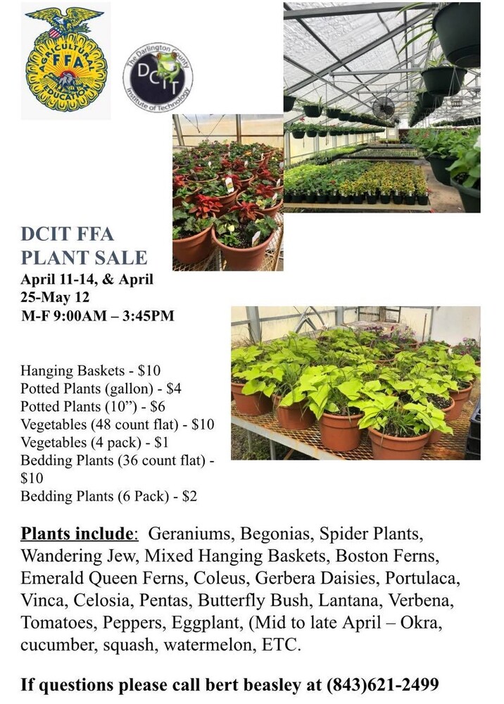 041122 DCIT Plant Sale
