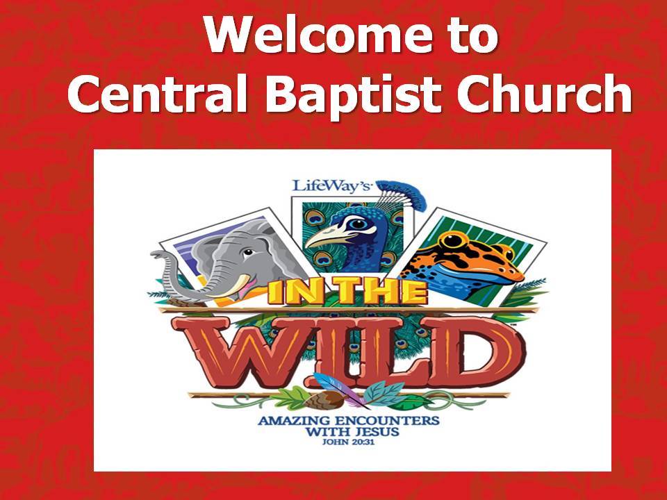 VBS-IntheWild.jpg